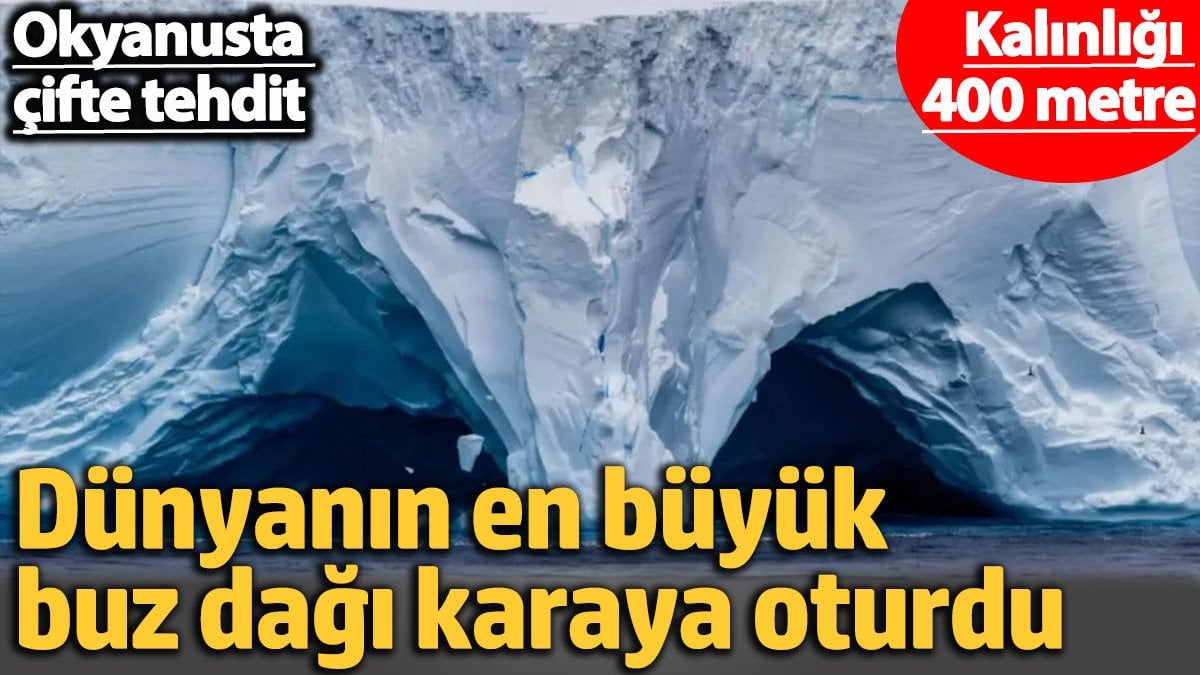 Dünyanın en büyük buz dağı karaya oturdu. Okyanusta çifte tehdit. Kalınlığı  400 metre