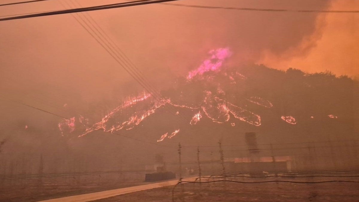 Güney Kore’de orman yangınları faciası! Ölüler var